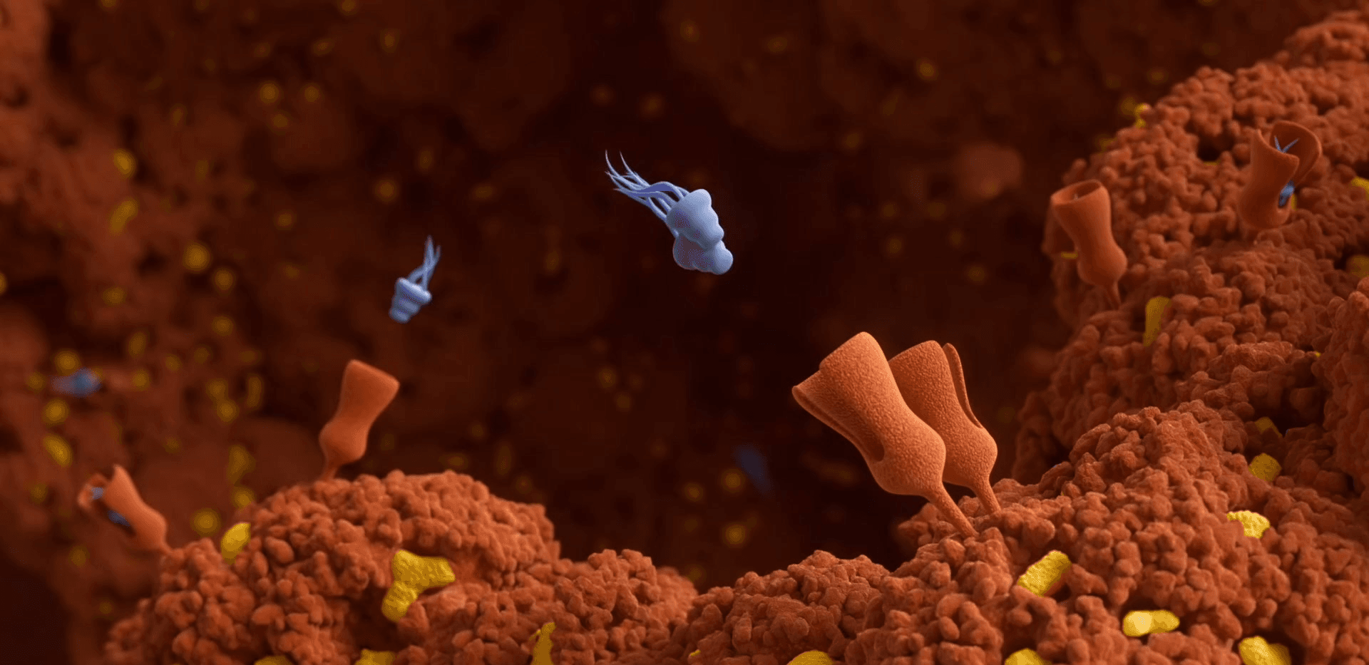Multimodal hemoadsorption capturing endotoxin and cytokines