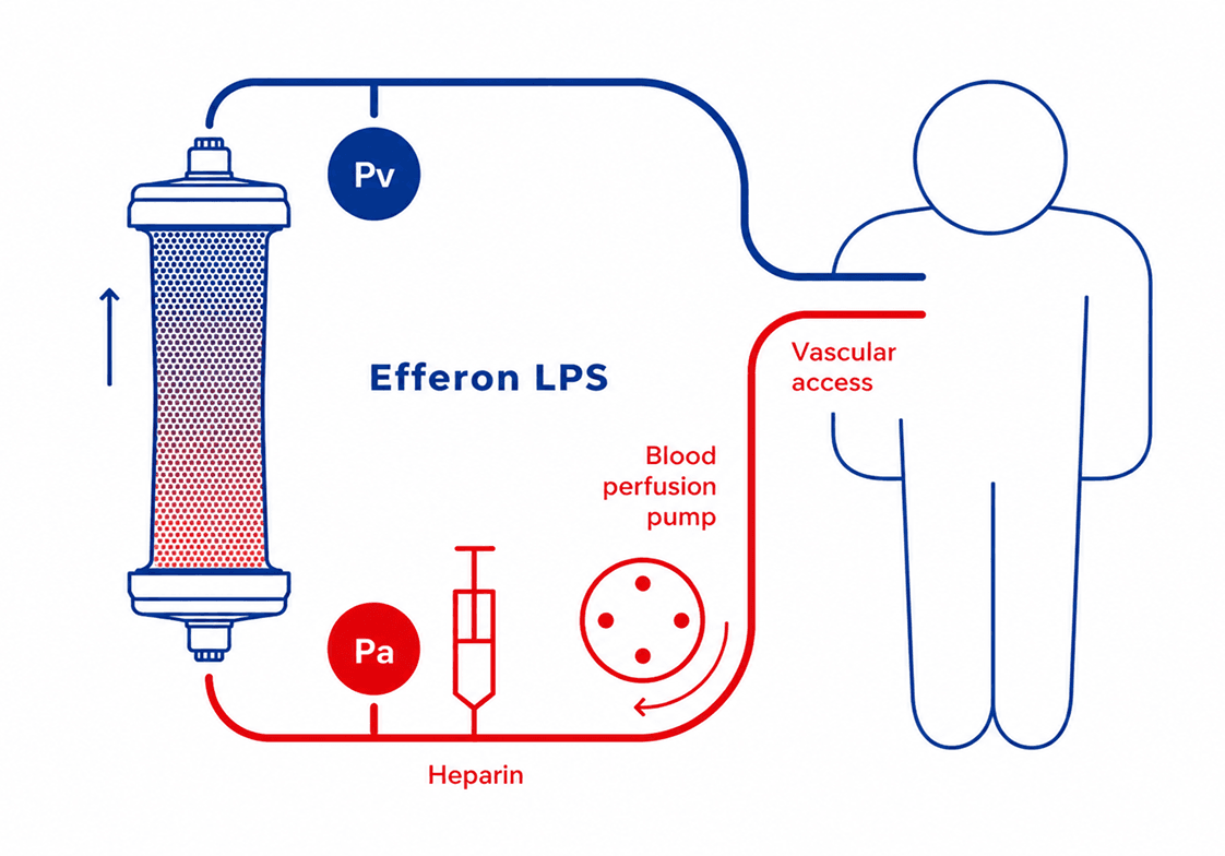 Multimodal hemoadsorption device — extracorporeal circuit schematic