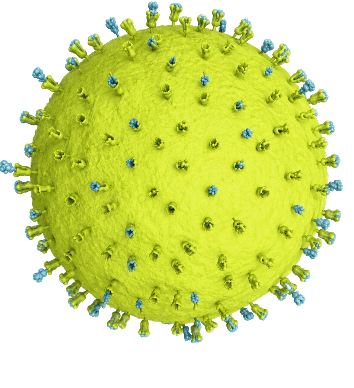 LPS-selective adsorbent — surface ligands bind endotoxin but cannot adsorb cytokines
